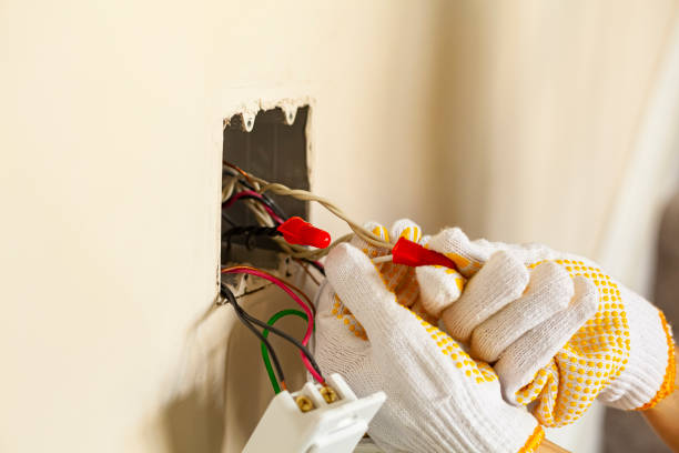 Best Surge Protection Installation  in Berryville, TX